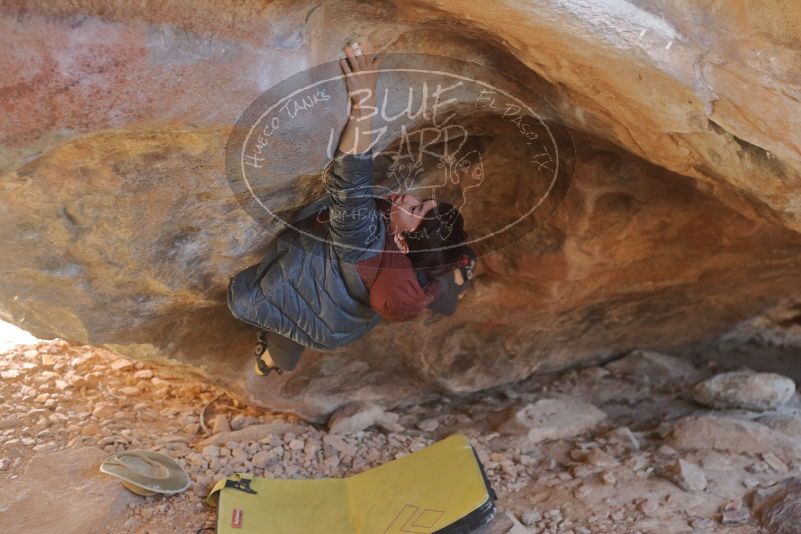 

Filename: SRM_20200118_1318370.jpg
Aperture: f/2.8
Shutter Speed: 1/250
Body: Canon EOS-1D Mark II
Lens: Canon EF 50mm f/1.8 II