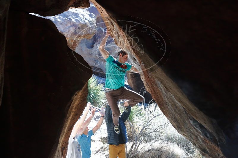 

Filename: SRM_20200118_1324021.jpg
Aperture: f/4.0
Shutter Speed: 1/320
Body: Canon EOS-1D Mark II
Lens: Canon EF 50mm f/1.8 II