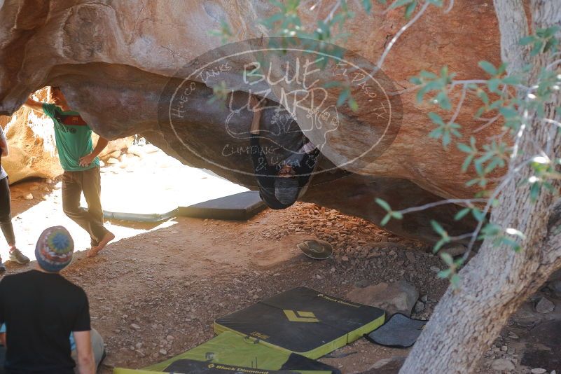 

Filename: SRM_20200118_1337570.jpg
Aperture: f/3.2
Shutter Speed: 1/400
Body: Canon EOS-1D Mark II
Lens: Canon EF 50mm f/1.8 II