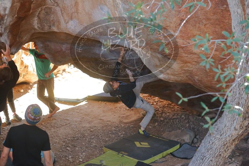 

Filename: SRM_20200118_1337580.jpg
Aperture: f/3.2
Shutter Speed: 1/400
Body: Canon EOS-1D Mark II
Lens: Canon EF 50mm f/1.8 II