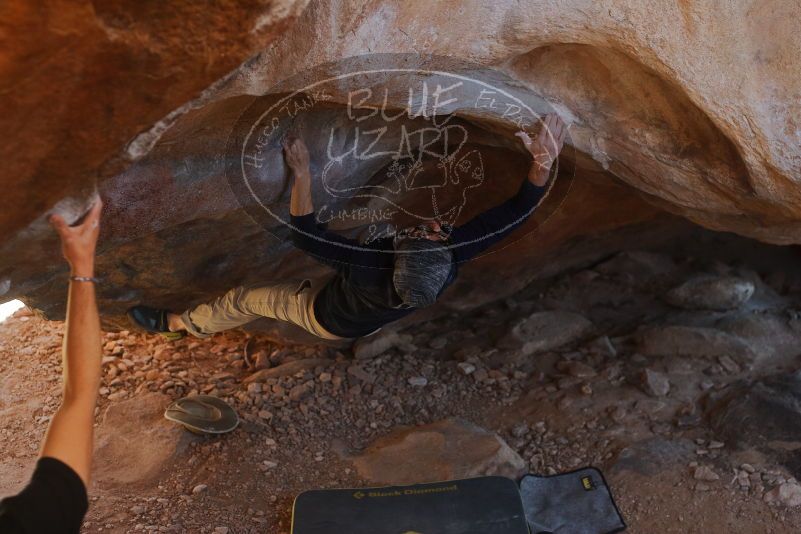 

Filename: SRM_20200118_1340550.jpg
Aperture: f/3.2
Shutter Speed: 1/400
Body: Canon EOS-1D Mark II
Lens: Canon EF 50mm f/1.8 II