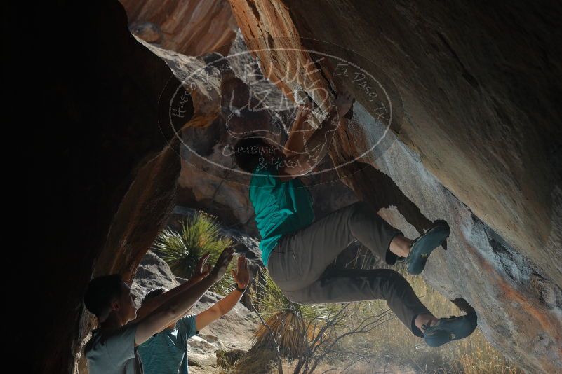 

Filename: SRM_20200118_1355100.jpg
Aperture: f/5.6
Shutter Speed: 1/320
Body: Canon EOS-1D Mark II
Lens: Canon EF 50mm f/1.8 II