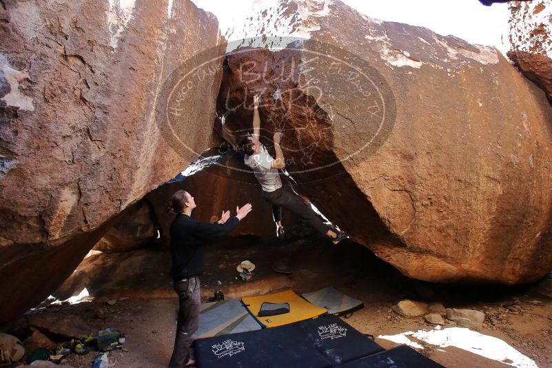 

Filename: SRM_20200118_1533330.jpg
Aperture: f/5.6
Shutter Speed: 1/250
Body: Canon EOS-1D Mark II
Lens: Canon EF 16-35mm f/2.8 L