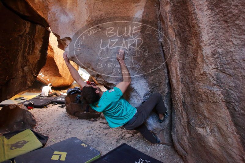 

Filename: SRM_20200118_1538440.jpg
Aperture: f/3.2
Shutter Speed: 1/250
Body: Canon EOS-1D Mark II
Lens: Canon EF 16-35mm f/2.8 L