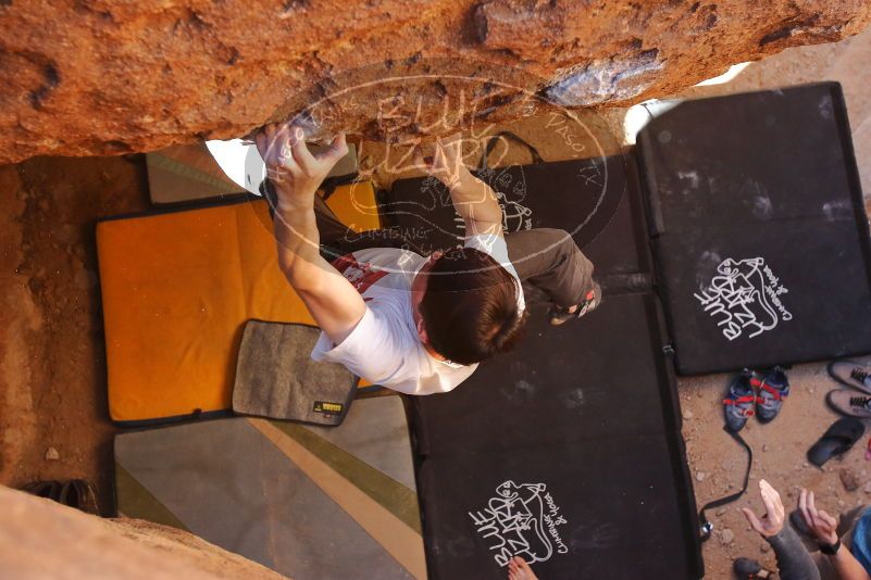 

Filename: SRM_20200118_1552440.jpg
Aperture: f/4.5
Shutter Speed: 1/250
Body: Canon EOS-1D Mark II
Lens: Canon EF 16-35mm f/2.8 L