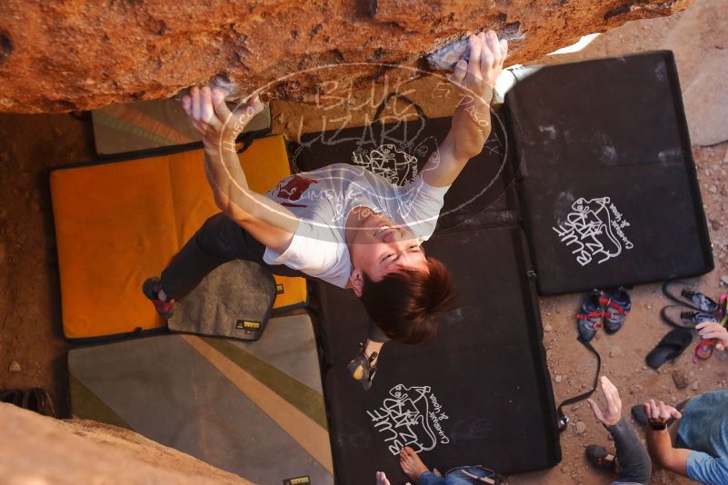 

Filename: SRM_20200118_1552462.jpg
Aperture: f/4.5
Shutter Speed: 1/250
Body: Canon EOS-1D Mark II
Lens: Canon EF 16-35mm f/2.8 L