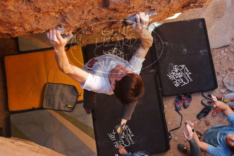Bouldering in Hueco Tanks on 01/18/2020 with Blue Lizard Climbing and Yoga
Filename: SRM_20200118_1552470.jpg
Aperture: f/4.5
Shutter Speed: 1/250
Body: Canon EOS-1D Mark II
Lens: Canon EF 16-35mm f/2.8 L