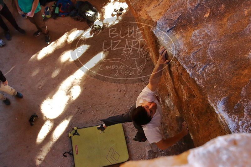 

Filename: SRM_20200118_1603590.jpg
Aperture: f/5.0
Shutter Speed: 1/250
Body: Canon EOS-1D Mark II
Lens: Canon EF 16-35mm f/2.8 L