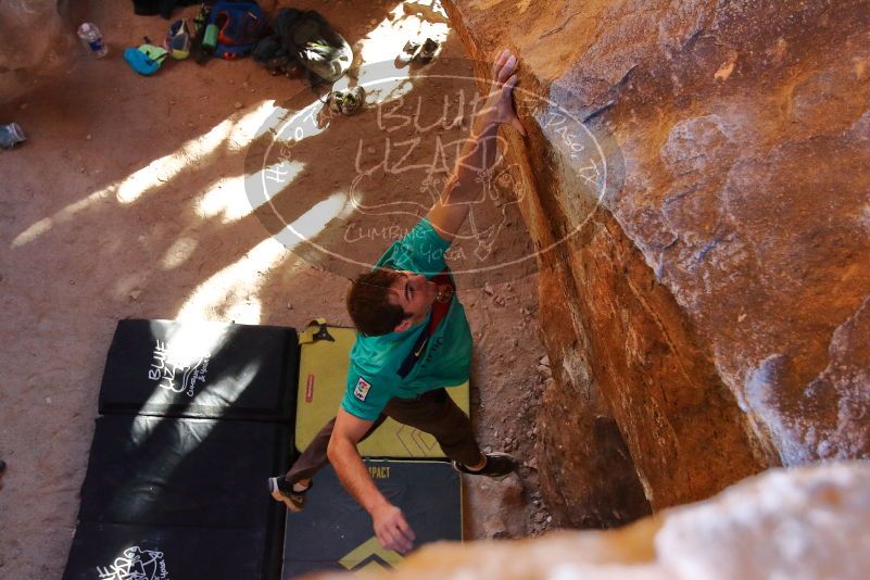 

Filename: SRM_20200118_1605111.jpg
Aperture: f/3.5
Shutter Speed: 1/320
Body: Canon EOS-1D Mark II
Lens: Canon EF 16-35mm f/2.8 L