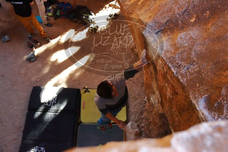 

Filename: SRM_20200118_1606271.jpg
Aperture: f/4.0
Shutter Speed: 1/320
Body: Canon EOS-1D Mark II
Lens: Canon EF 16-35mm f/2.8 L