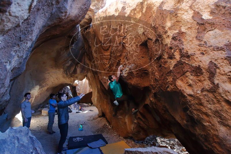 

Filename: SRM_20200118_1618130.jpg
Aperture: f/4.5
Shutter Speed: 1/250
Body: Canon EOS-1D Mark II
Lens: Canon EF 16-35mm f/2.8 L