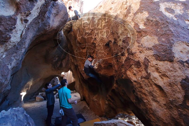 

Filename: SRM_20200118_1630520.jpg
Aperture: f/4.5
Shutter Speed: 1/250
Body: Canon EOS-1D Mark II
Lens: Canon EF 16-35mm f/2.8 L