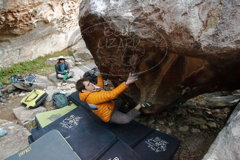 

Filename: SRM_20200118_1726380.jpg
Aperture: f/3.5
Shutter Speed: 1/200
Body: Canon EOS-1D Mark II
Lens: Canon EF 16-35mm f/2.8 L