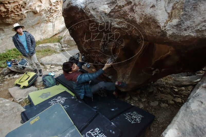 

Filename: SRM_20200118_1740420.jpg
Aperture: f/2.8
Shutter Speed: 1/200
Body: Canon EOS-1D Mark II
Lens: Canon EF 16-35mm f/2.8 L