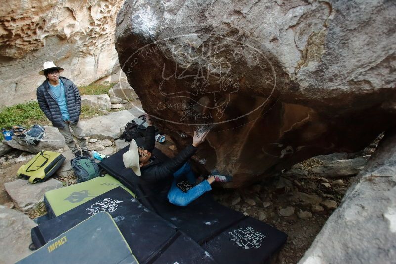 

Filename: SRM_20200118_1741580.jpg
Aperture: f/2.8
Shutter Speed: 1/160
Body: Canon EOS-1D Mark II
Lens: Canon EF 16-35mm f/2.8 L