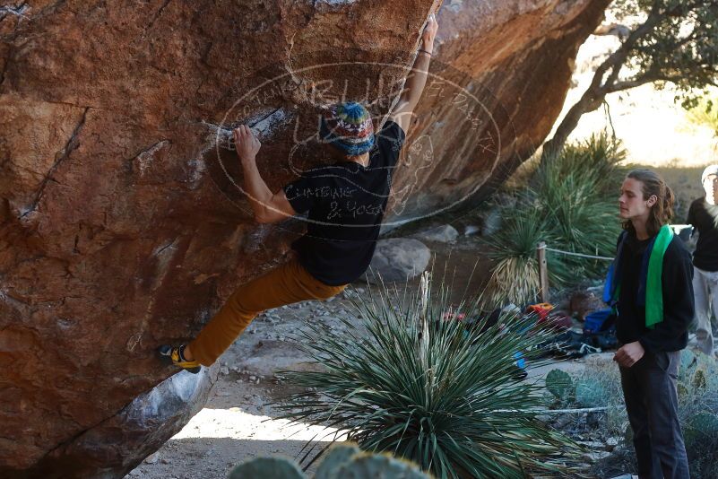 Bouldering in Hueco Tanks on 01/18/2020 with Blue Lizard Climbing and Yoga
Filename: SRM_20200118_1109170.jpg
Aperture: f/4.0
Shutter Speed: 1/250
Body: Canon EOS-1D Mark II
Lens: Canon EF 50mm f/1.8 II