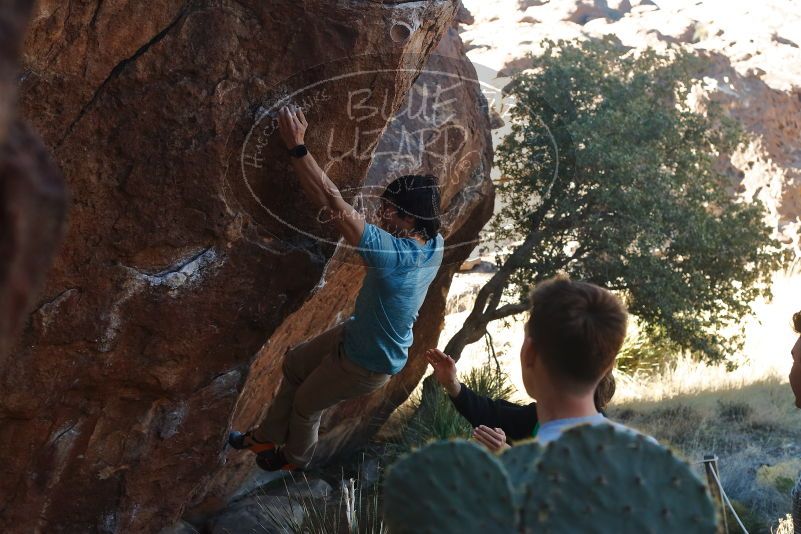 Bouldering in Hueco Tanks on 01/18/2020 with Blue Lizard Climbing and Yoga

Filename: SRM_20200118_1118110.jpg
Aperture: f/5.0
Shutter Speed: 1/250
Body: Canon EOS-1D Mark II
Lens: Canon EF 50mm f/1.8 II