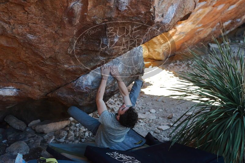 Bouldering in Hueco Tanks on 01/18/2020 with Blue Lizard Climbing and Yoga
Filename: SRM_20200118_1127220.jpg
Aperture: f/4.0
Shutter Speed: 1/250
Body: Canon EOS-1D Mark II
Lens: Canon EF 50mm f/1.8 II