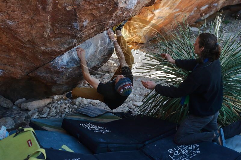 Bouldering in Hueco Tanks on 01/18/2020 with Blue Lizard Climbing and Yoga

Filename: SRM_20200118_1128050.jpg
Aperture: f/3.5
Shutter Speed: 1/320
Body: Canon EOS-1D Mark II
Lens: Canon EF 50mm f/1.8 II