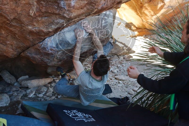 Bouldering in Hueco Tanks on 01/18/2020 with Blue Lizard Climbing and Yoga
Filename: SRM_20200118_1133350.jpg
Aperture: f/4.0
Shutter Speed: 1/250
Body: Canon EOS-1D Mark II
Lens: Canon EF 50mm f/1.8 II