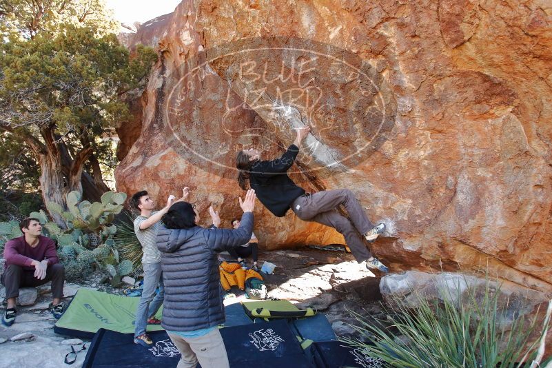 Bouldering in Hueco Tanks on 01/18/2020 with Blue Lizard Climbing and Yoga
Filename: SRM_20200118_1141210.jpg
Aperture: f/4.5
Shutter Speed: 1/250
Body: Canon EOS-1D Mark II
Lens: Canon EF 16-35mm f/2.8 L