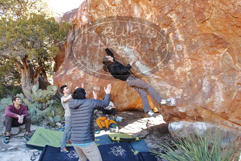Bouldering in Hueco Tanks on 01/18/2020 with Blue Lizard Climbing and Yoga
Filename: SRM_20200118_1141211.jpg
Aperture: f/4.5
Shutter Speed: 1/250
Body: Canon EOS-1D Mark II
Lens: Canon EF 16-35mm f/2.8 L