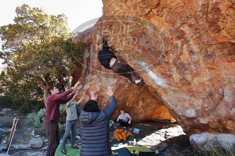 Bouldering in Hueco Tanks on 01/18/2020 with Blue Lizard Climbing and Yoga
Filename: SRM_20200118_1141331.jpg
Aperture: f/5.0
Shutter Speed: 1/250
Body: Canon EOS-1D Mark II
Lens: Canon EF 16-35mm f/2.8 L