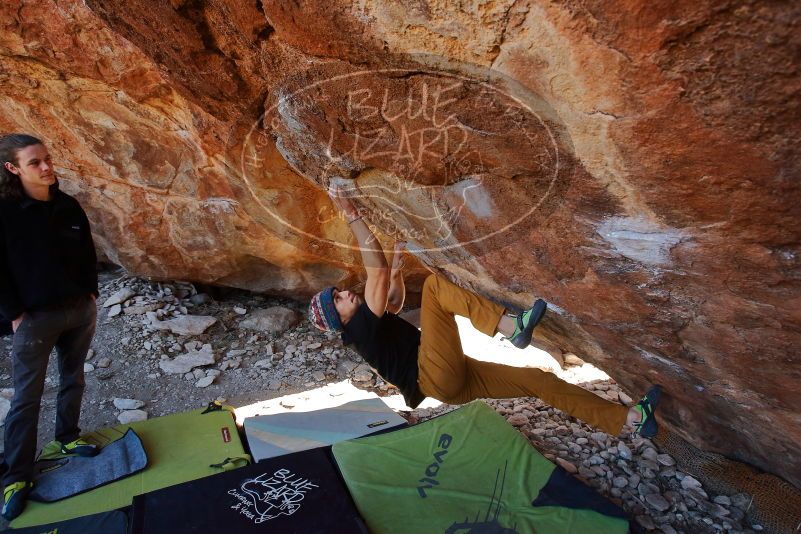 Bouldering in Hueco Tanks on 01/18/2020 with Blue Lizard Climbing and Yoga
Filename: SRM_20200118_1203490.jpg
Aperture: f/5.6
Shutter Speed: 1/250
Body: Canon EOS-1D Mark II
Lens: Canon EF 16-35mm f/2.8 L