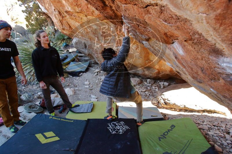 Bouldering in Hueco Tanks on 01/18/2020 with Blue Lizard Climbing and Yoga

Filename: SRM_20200118_1206540.jpg
Aperture: f/4.0
Shutter Speed: 1/250
Body: Canon EOS-1D Mark II
Lens: Canon EF 16-35mm f/2.8 L