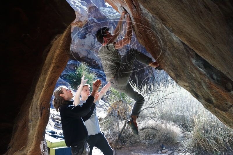 Bouldering in Hueco Tanks on 01/18/2020 with Blue Lizard Climbing and Yoga
Filename: SRM_20200118_1304560.jpg
Aperture: f/5.6
Shutter Speed: 1/250
Body: Canon EOS-1D Mark II
Lens: Canon EF 50mm f/1.8 II