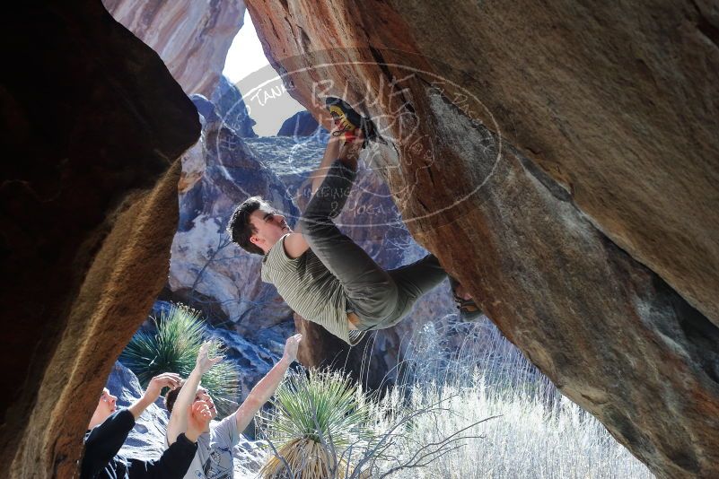 Bouldering in Hueco Tanks on 01/18/2020 with Blue Lizard Climbing and Yoga
Filename: SRM_20200118_1305070.jpg
Aperture: f/5.6
Shutter Speed: 1/250
Body: Canon EOS-1D Mark II
Lens: Canon EF 50mm f/1.8 II