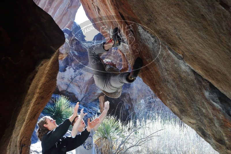 Bouldering in Hueco Tanks on 01/18/2020 with Blue Lizard Climbing and Yoga
Filename: SRM_20200118_1305250.jpg
Aperture: f/5.6
Shutter Speed: 1/250
Body: Canon EOS-1D Mark II
Lens: Canon EF 50mm f/1.8 II