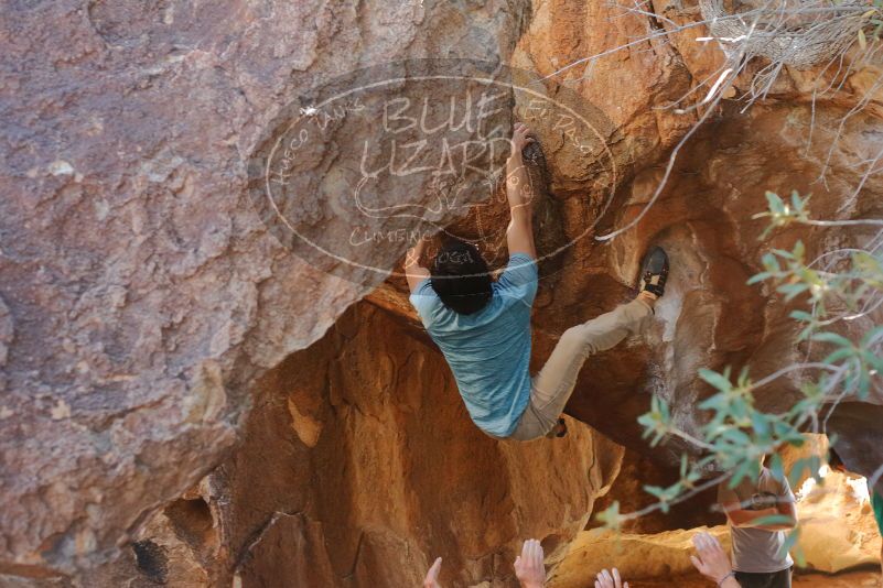 Bouldering in Hueco Tanks on 01/18/2020 with Blue Lizard Climbing and Yoga
Filename: SRM_20200118_1339040.jpg
Aperture: f/3.2
Shutter Speed: 1/400
Body: Canon EOS-1D Mark II
Lens: Canon EF 50mm f/1.8 II
