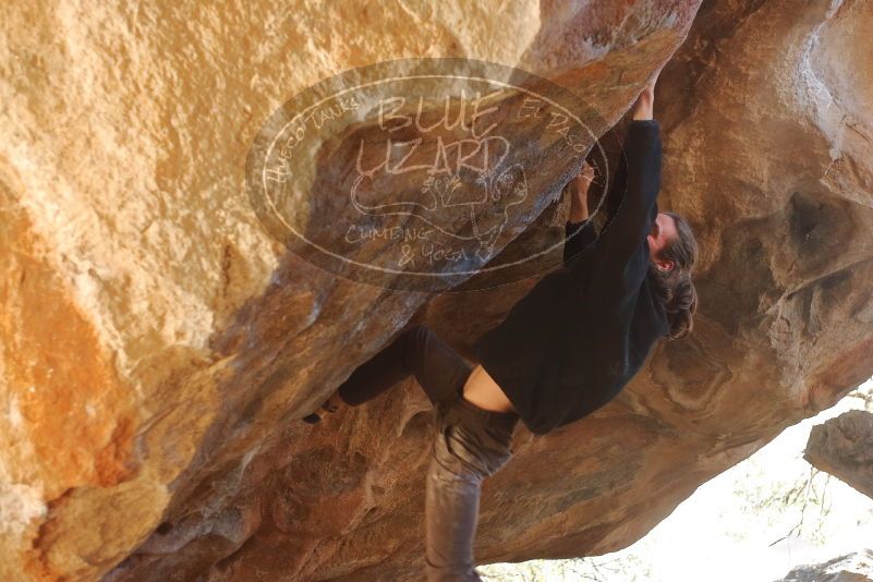 Bouldering in Hueco Tanks on 01/18/2020 with Blue Lizard Climbing and Yoga
Filename: SRM_20200118_1401191.jpg
Aperture: f/2.5
Shutter Speed: 1/250
Body: Canon EOS-1D Mark II
Lens: Canon EF 50mm f/1.8 II