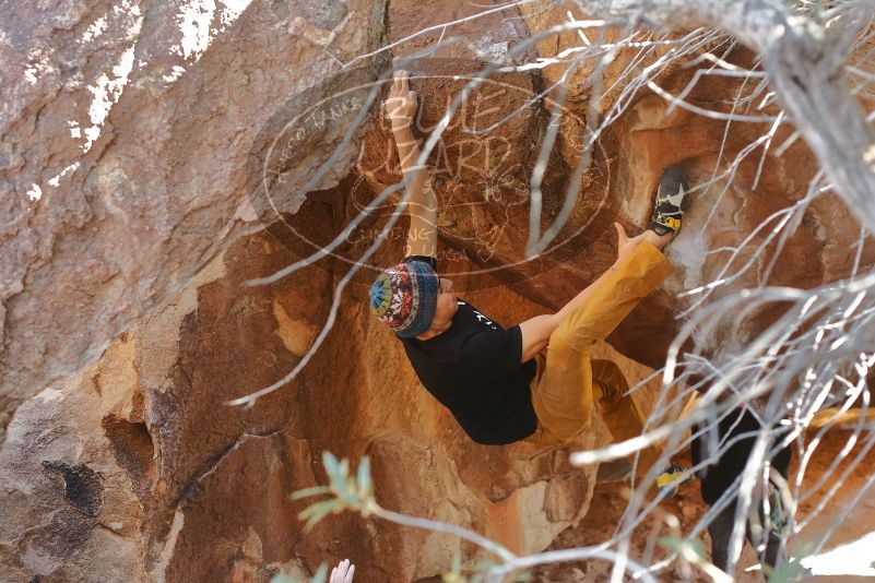 Bouldering in Hueco Tanks on 01/18/2020 with Blue Lizard Climbing and Yoga
Filename: SRM_20200118_1406190.jpg
Aperture: f/3.5
Shutter Speed: 1/250
Body: Canon EOS-1D Mark II
Lens: Canon EF 50mm f/1.8 II