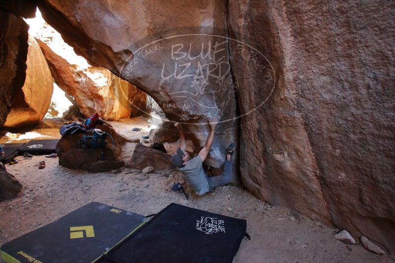 Bouldering in Hueco Tanks on 01/18/2020 with Blue Lizard Climbing and Yoga
Filename: SRM_20200118_1518480.jpg
Aperture: f/3.5
Shutter Speed: 1/250
Body: Canon EOS-1D Mark II
Lens: Canon EF 16-35mm f/2.8 L