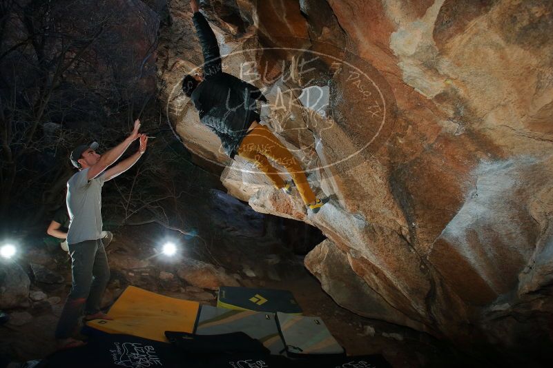 Bouldering in Hueco Tanks on 01/19/2020 with Blue Lizard Climbing and Yoga
Filename: SRM_20200119_1127470.jpg
Aperture: f/7.1
Shutter Speed: 1/250
Body: Canon EOS-1D Mark II
Lens: Canon EF 16-35mm f/2.8 L