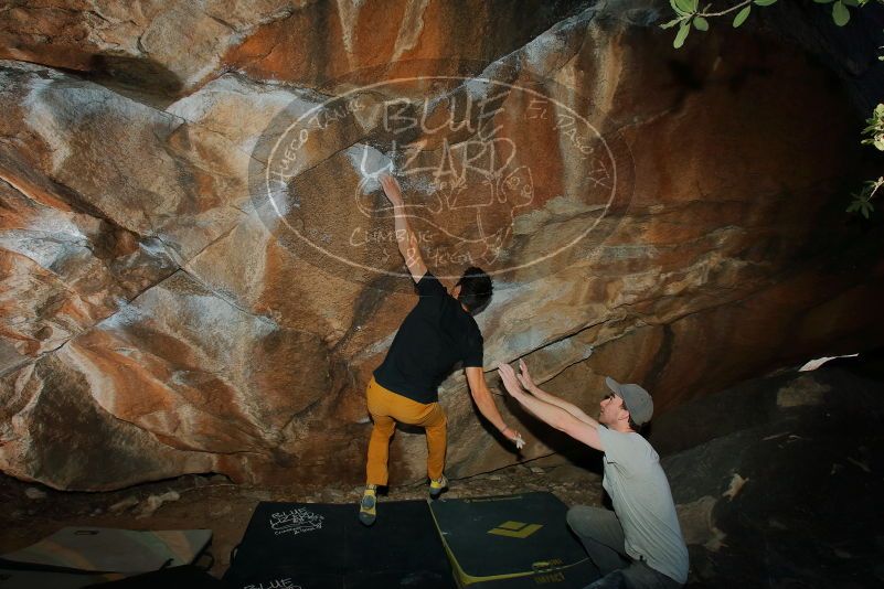 Bouldering in Hueco Tanks on 01/19/2020 with Blue Lizard Climbing and Yoga
Filename: SRM_20200119_1151020.jpg
Aperture: f/8.0
Shutter Speed: 1/250
Body: Canon EOS-1D Mark II
Lens: Canon EF 16-35mm f/2.8 L