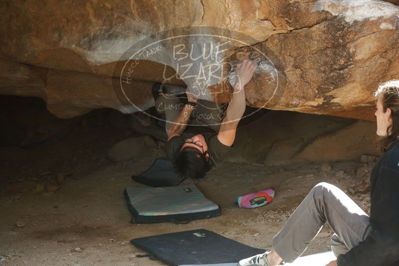 Bouldering in Hueco Tanks on 01/19/2020 with Blue Lizard Climbing and Yoga

Filename: SRM_20200119_1251290.jpg
Aperture: f/4.0
Shutter Speed: 1/250
Body: Canon EOS-1D Mark II
Lens: Canon EF 50mm f/1.8 II