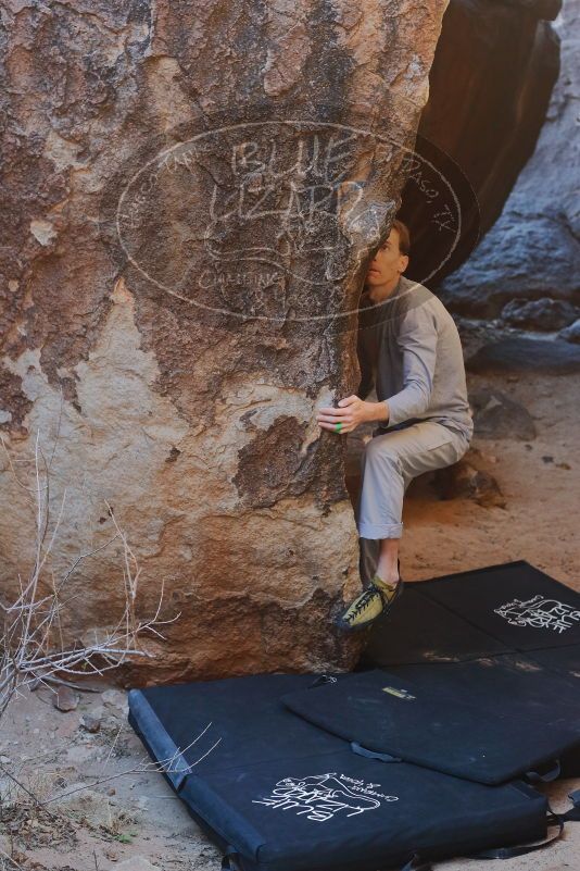 Bouldering in Hueco Tanks on 01/19/2020 with Blue Lizard Climbing and Yoga
Filename: SRM_20200119_1259180.jpg
Aperture: f/4.0
Shutter Speed: 1/320
Body: Canon EOS-1D Mark II
Lens: Canon EF 50mm f/1.8 II