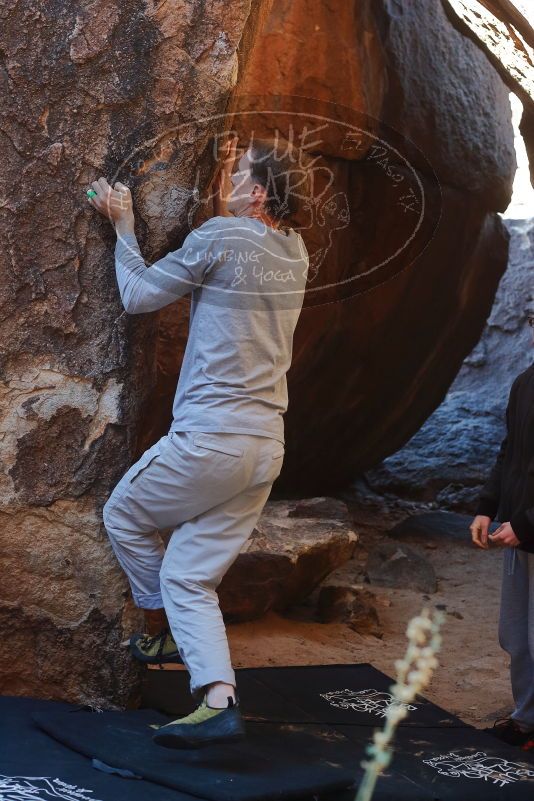Bouldering in Hueco Tanks on 01/19/2020 with Blue Lizard Climbing and Yoga

Filename: SRM_20200119_1301100.jpg
Aperture: f/4.0
Shutter Speed: 1/320
Body: Canon EOS-1D Mark II
Lens: Canon EF 50mm f/1.8 II
