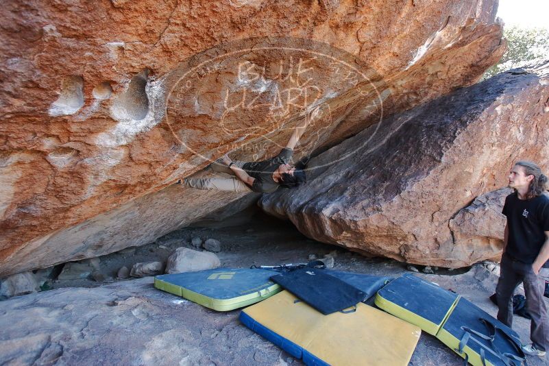 Bouldering in Hueco Tanks on 01/19/2020 with Blue Lizard Climbing and Yoga

Filename: SRM_20200119_1305220.jpg
Aperture: f/4.0
Shutter Speed: 1/320
Body: Canon EOS-1D Mark II
Lens: Canon EF 16-35mm f/2.8 L