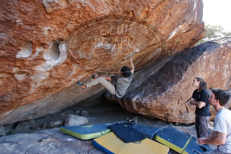 Bouldering in Hueco Tanks on 01/19/2020 with Blue Lizard Climbing and Yoga
Filename: SRM_20200119_1307290.jpg
Aperture: f/4.5
Shutter Speed: 1/320
Body: Canon EOS-1D Mark II
Lens: Canon EF 16-35mm f/2.8 L