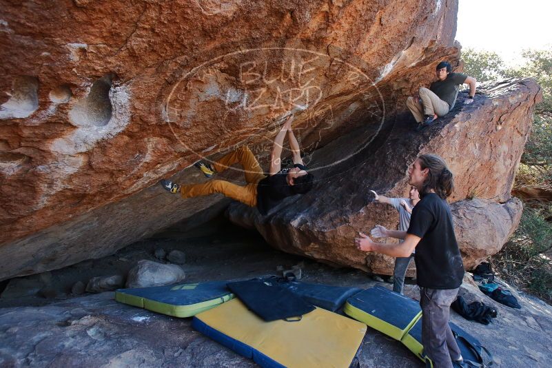 Bouldering in Hueco Tanks on 01/19/2020 with Blue Lizard Climbing and Yoga
Filename: SRM_20200119_1309050.jpg
Aperture: f/5.6
Shutter Speed: 1/320
Body: Canon EOS-1D Mark II
Lens: Canon EF 16-35mm f/2.8 L