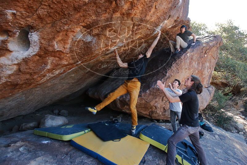 Bouldering in Hueco Tanks on 01/19/2020 with Blue Lizard Climbing and Yoga
Filename: SRM_20200119_1309091.jpg
Aperture: f/5.6
Shutter Speed: 1/320
Body: Canon EOS-1D Mark II
Lens: Canon EF 16-35mm f/2.8 L