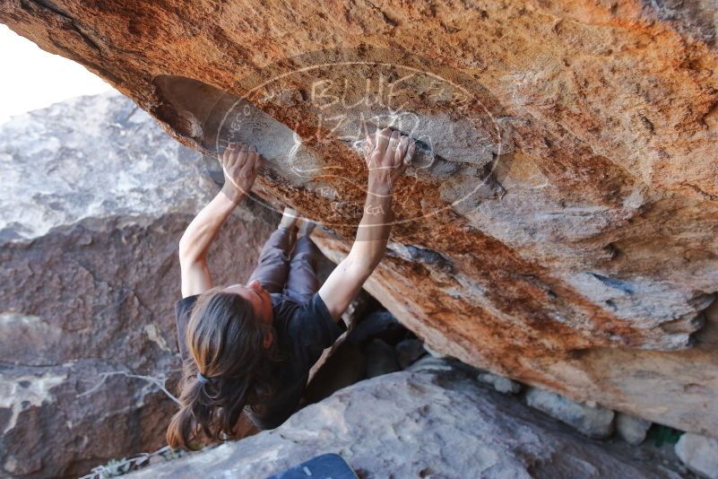Bouldering in Hueco Tanks on 01/19/2020 with Blue Lizard Climbing and Yoga

Filename: SRM_20200119_1338040.jpg
Aperture: f/4.0
Shutter Speed: 1/320
Body: Canon EOS-1D Mark II
Lens: Canon EF 16-35mm f/2.8 L
