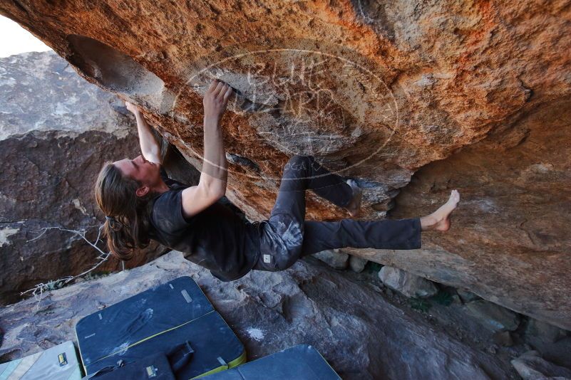 Bouldering in Hueco Tanks on 01/19/2020 with Blue Lizard Climbing and Yoga
Filename: SRM_20200119_1338090.jpg
Aperture: f/5.0
Shutter Speed: 1/320
Body: Canon EOS-1D Mark II
Lens: Canon EF 16-35mm f/2.8 L