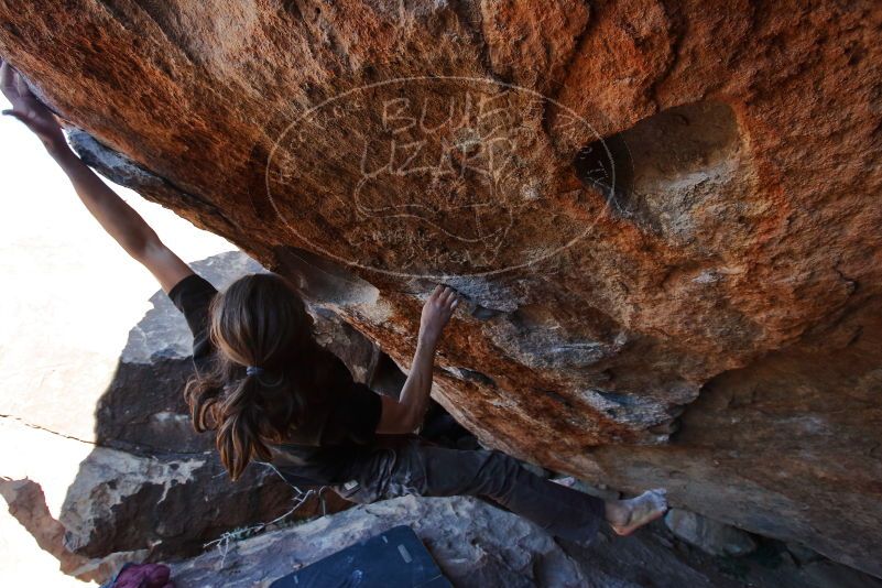 Bouldering in Hueco Tanks on 01/19/2020 with Blue Lizard Climbing and Yoga
Filename: SRM_20200119_1338120.jpg
Aperture: f/5.6
Shutter Speed: 1/320
Body: Canon EOS-1D Mark II
Lens: Canon EF 16-35mm f/2.8 L