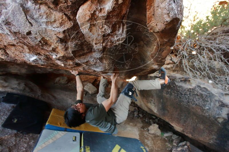Bouldering in Hueco Tanks on 01/19/2020 with Blue Lizard Climbing and Yoga
Filename: SRM_20200119_1502260.jpg
Aperture: f/4.5
Shutter Speed: 1/320
Body: Canon EOS-1D Mark II
Lens: Canon EF 16-35mm f/2.8 L