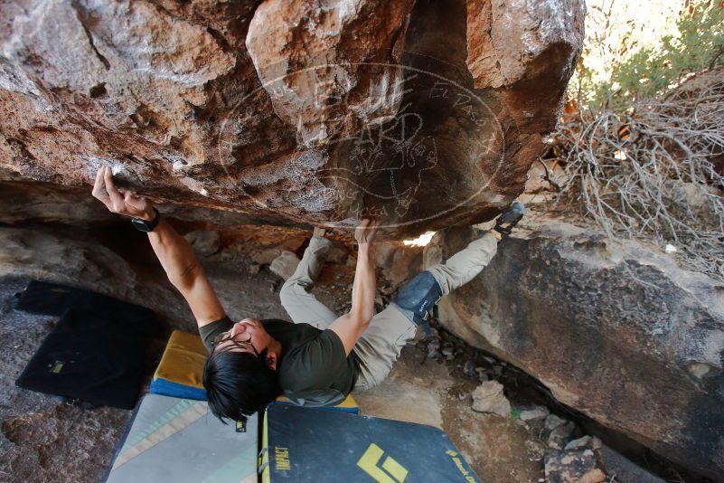 Bouldering in Hueco Tanks on 01/19/2020 with Blue Lizard Climbing and Yoga

Filename: SRM_20200119_1502270.jpg
Aperture: f/4.5
Shutter Speed: 1/320
Body: Canon EOS-1D Mark II
Lens: Canon EF 16-35mm f/2.8 L